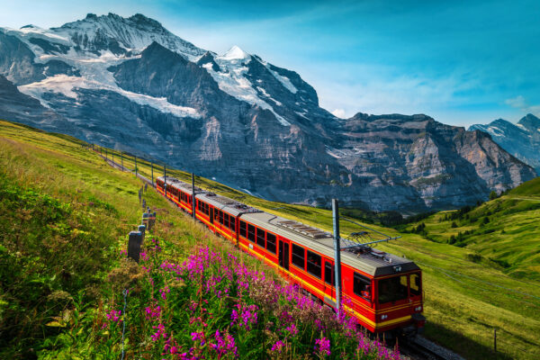 Swiss Jungfrau Static Model - Image 2